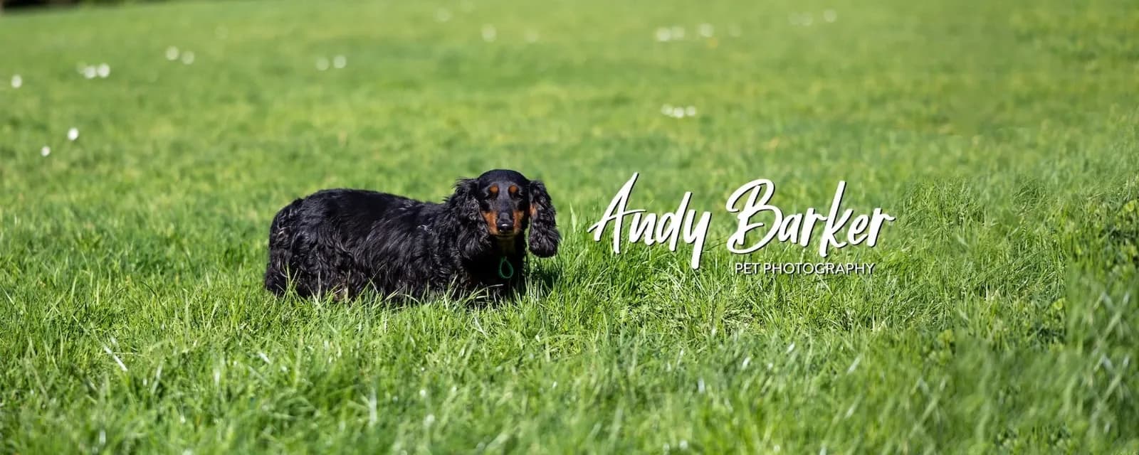 Andy Barker Photography — Photographers in Wellington