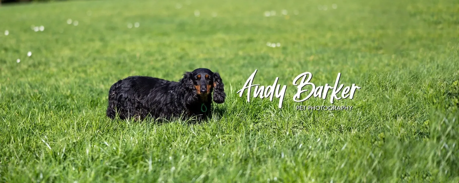 Andy Barker Photography — Photographers in Wellington
