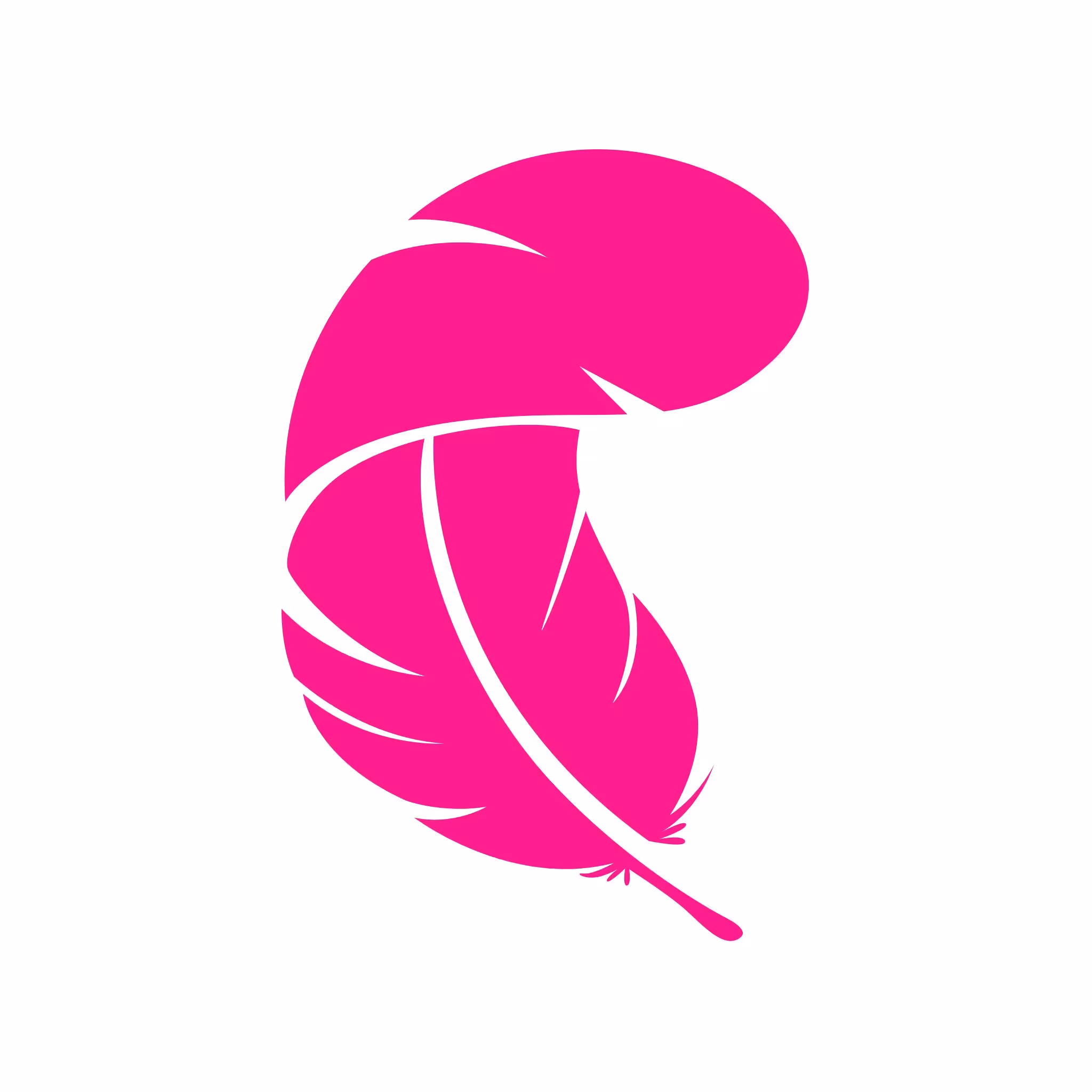 Tickled Pink Property Management