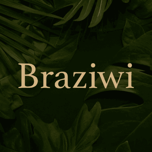Braziwi logo