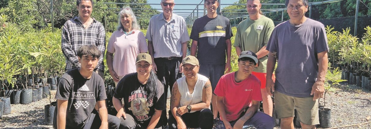 Tōrere Macadamias — Food & Beverage in Gisborne