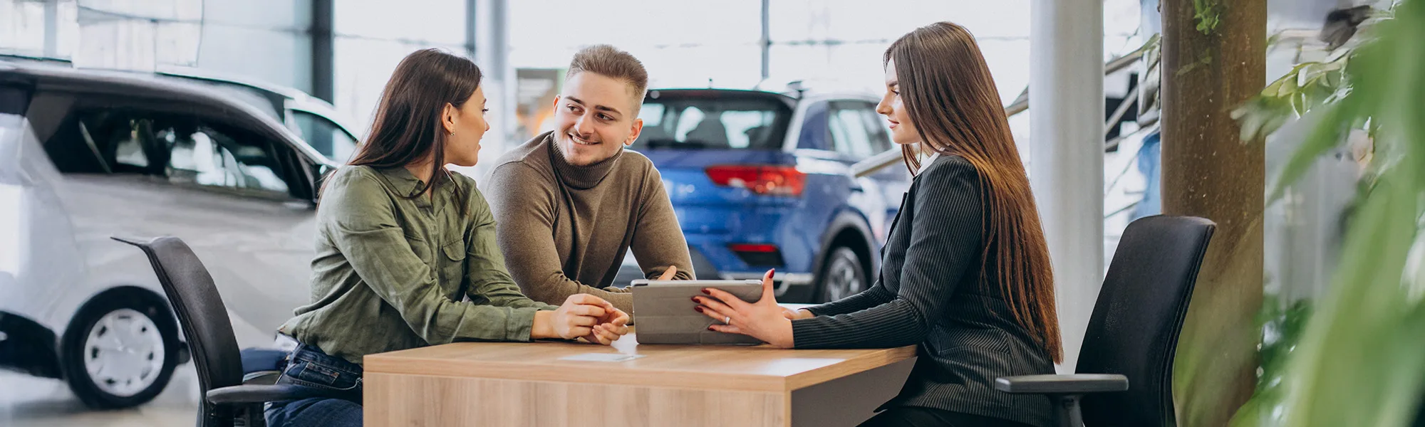 napier suzuki phone number — Car Dealerships in Napier