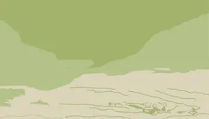 South Coast Psychology — Medical Centres in Gore