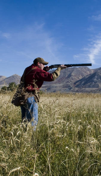 Cleland Gunsmithing & Engineering — Online Stores in Hamilton