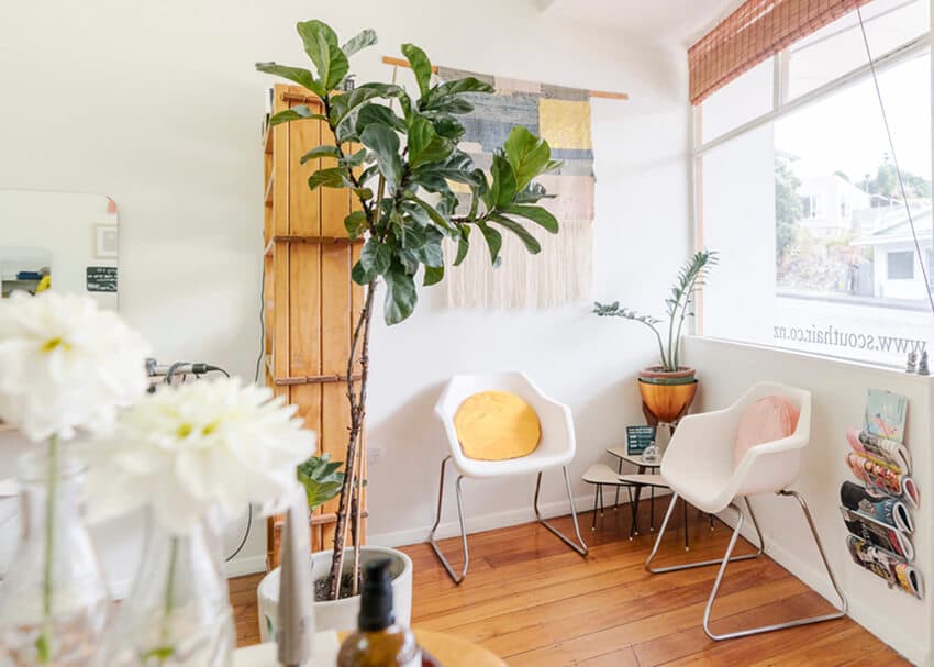 Scout hair — Hair Salons in Wellington
