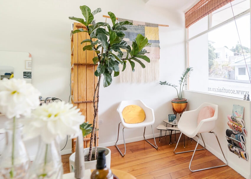 Scout hair — Hair Salons in Wellington