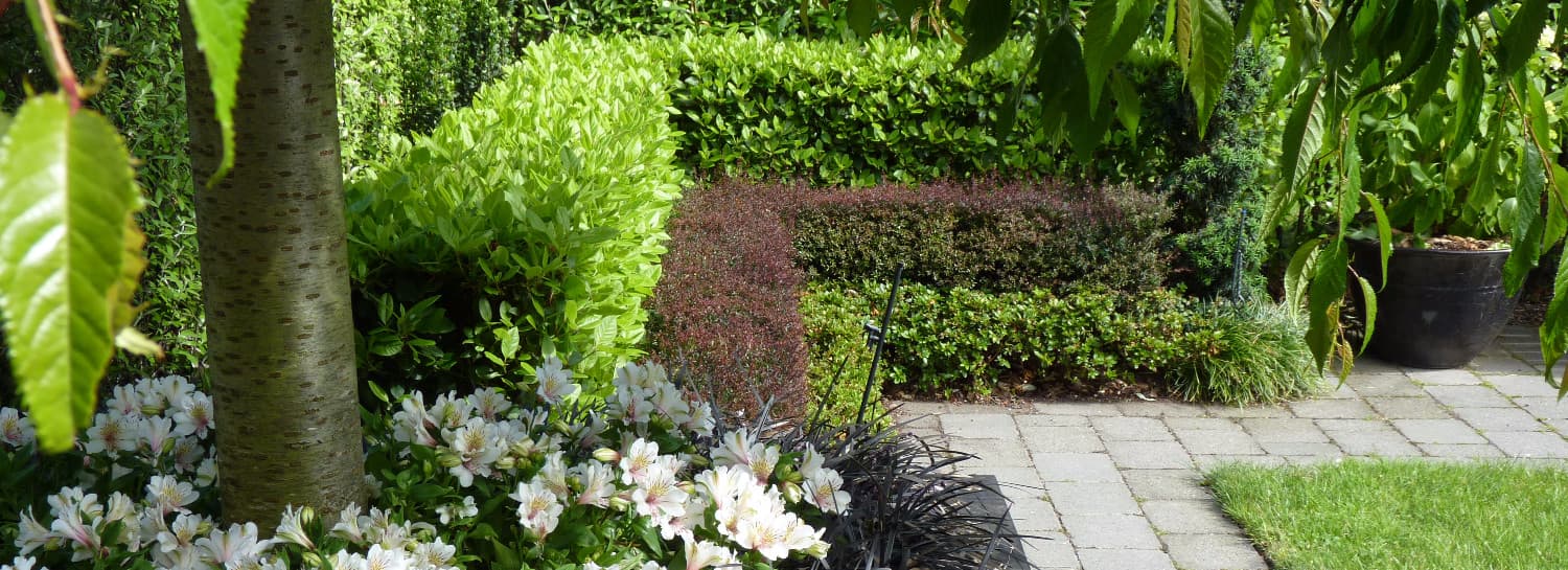 HEDGE Garden Design and Nursery — Landscaping Services in Wellington