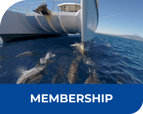 New Plymouth Sportfishing and Underwater Club Restaurant — Restaurants in New Plymouth