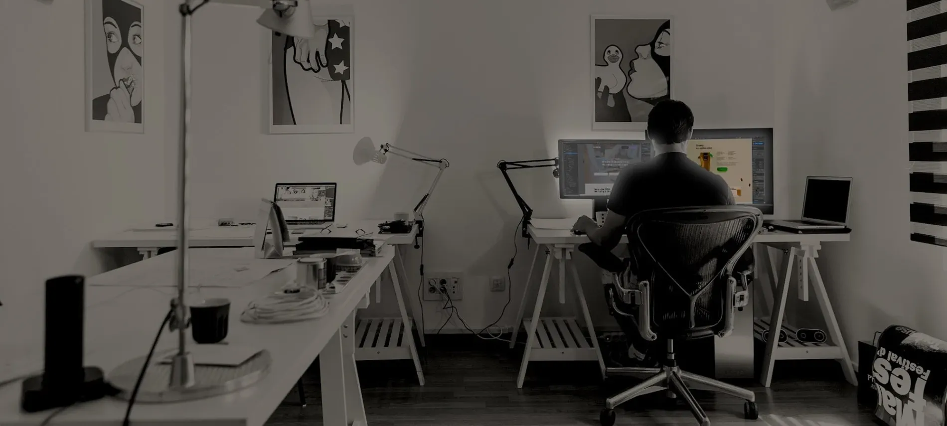 Webify Web Design — Website Designers in New Plymouth