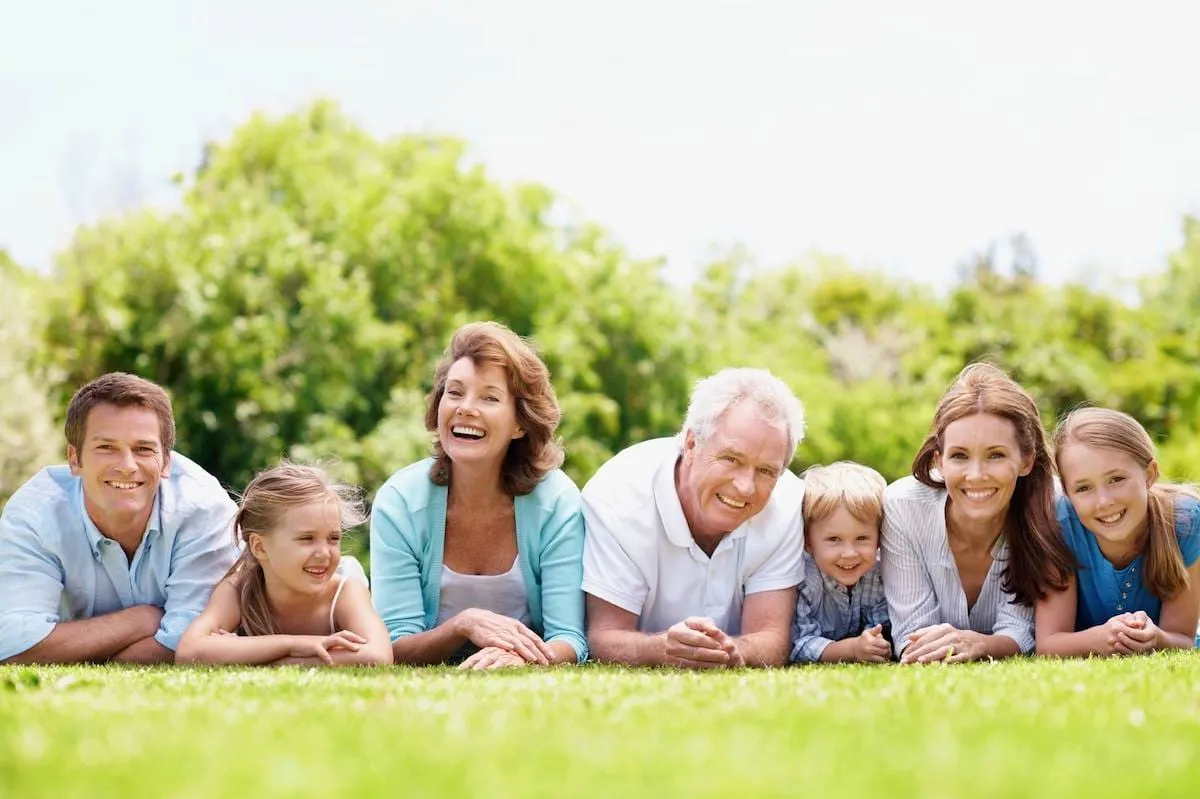 Adelphi Insurance Brokers — Financial Services in Riccarton