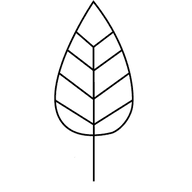 Treetown Kitchens