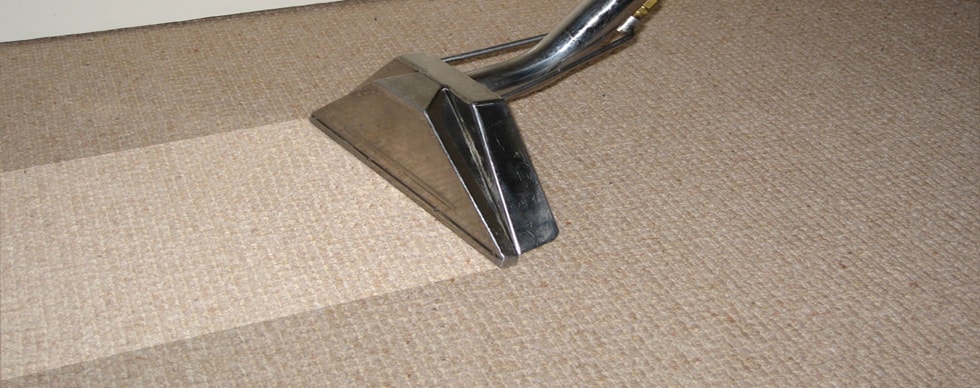 Premier Carpet Cleaning — Cleaning Services in Auckland