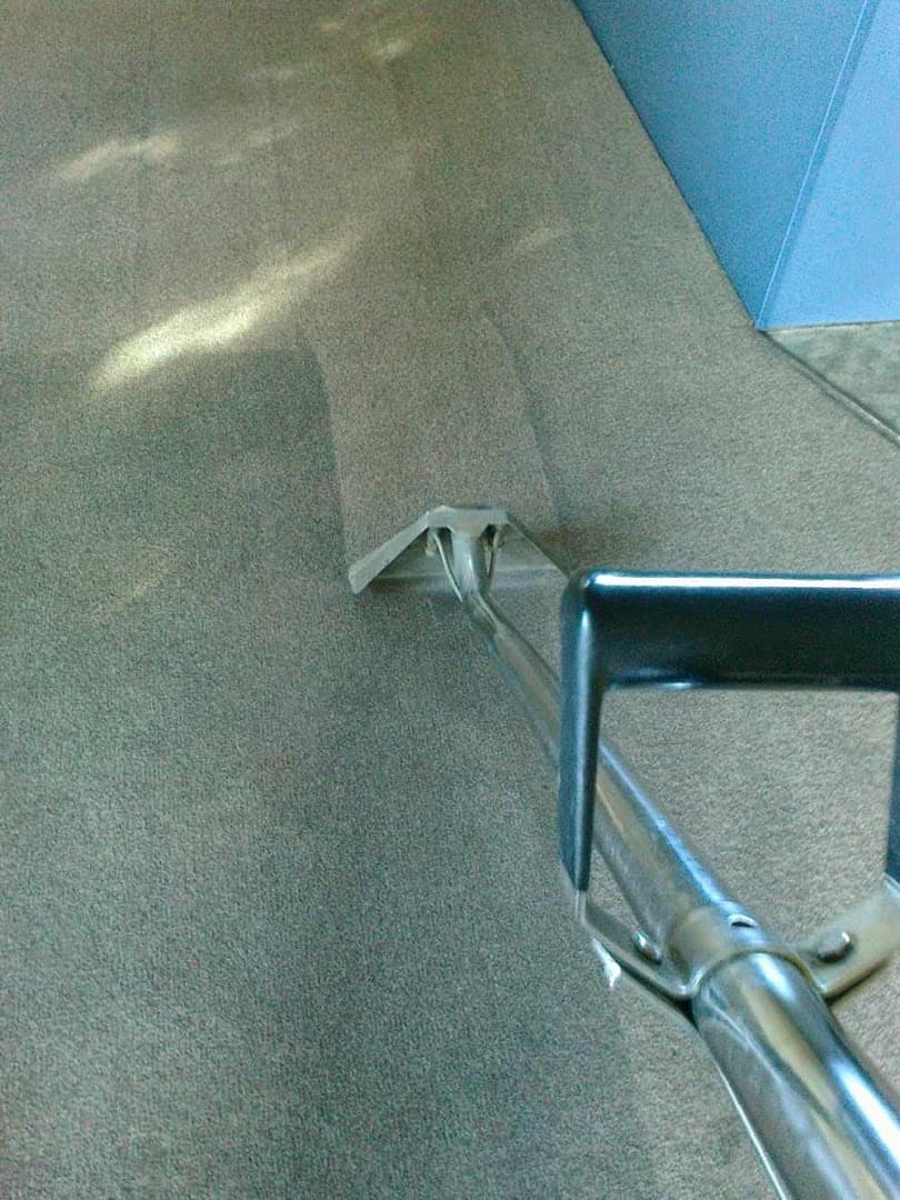 Premier Carpet Cleaning