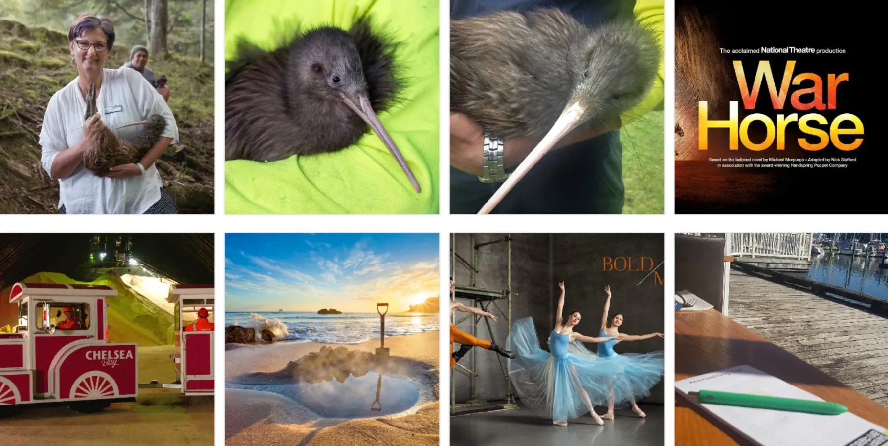 Creative Web Ideas — Website Designers in Whangārei