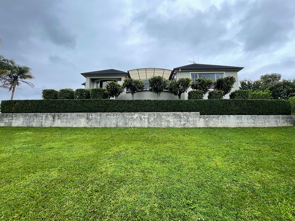 Apex Arborists — Logistics & Distribution in Waikato