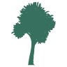 Blueskin Nurseries & Cafe