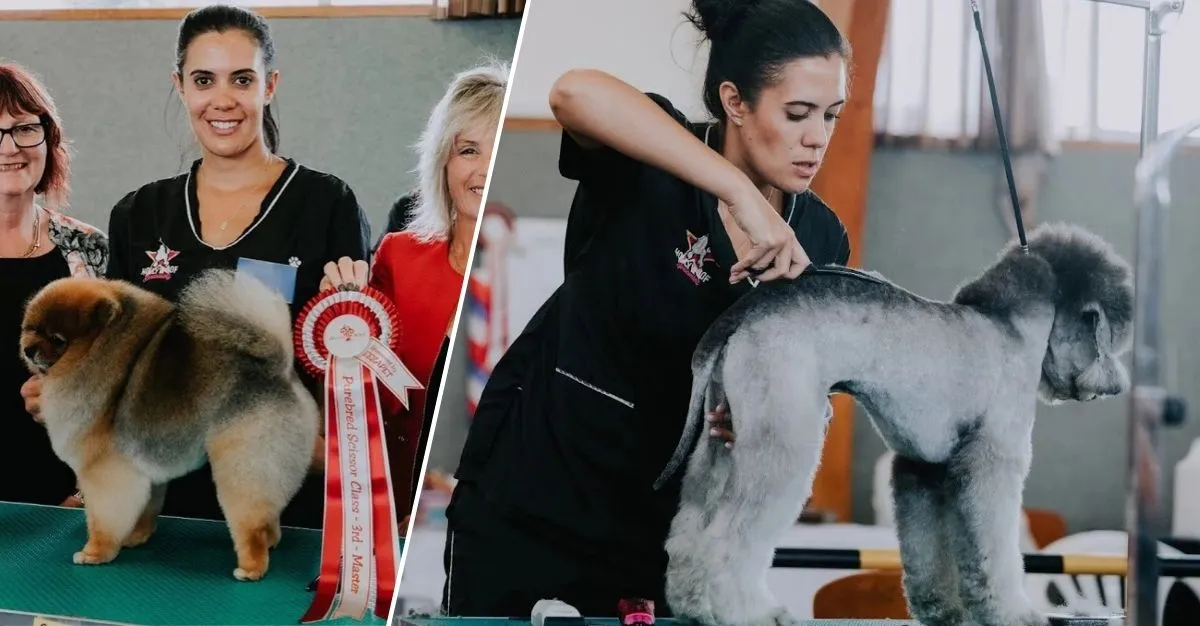 Hollywoof Grooming — Dog Groomers in Auckland