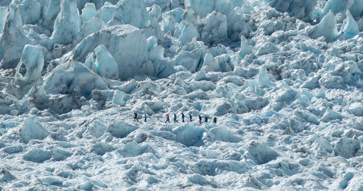 Franz Josef Glacier Guides — Travel & Tourism in Franz Josef / Waiau