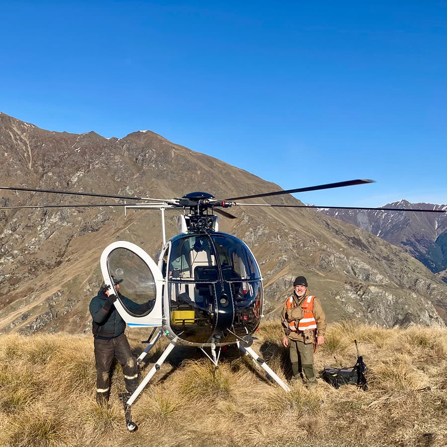 Wild Pro — Pest Control Services in Queenstown