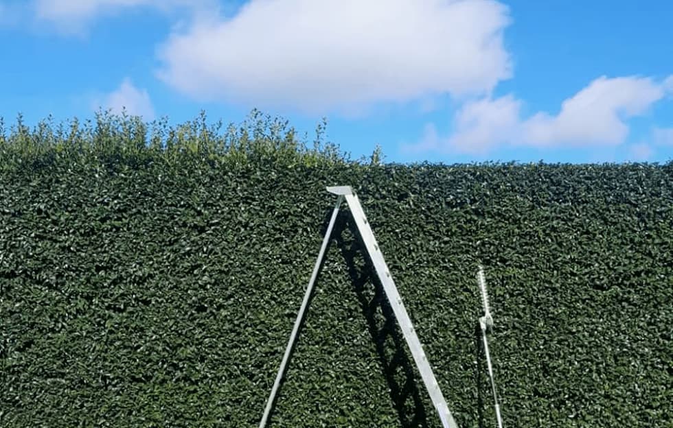 Growing Great Gardens — Landscaping Services in Te Awamutu