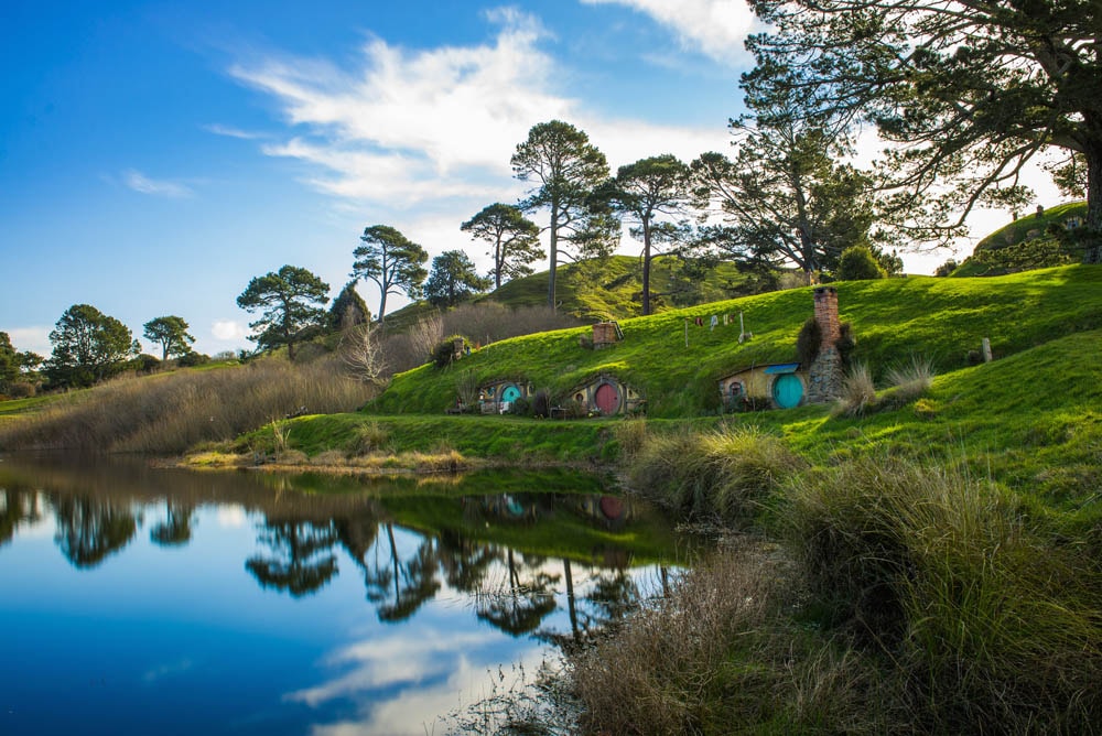 Visitor Solutions — Travel & Tourism in Auckland