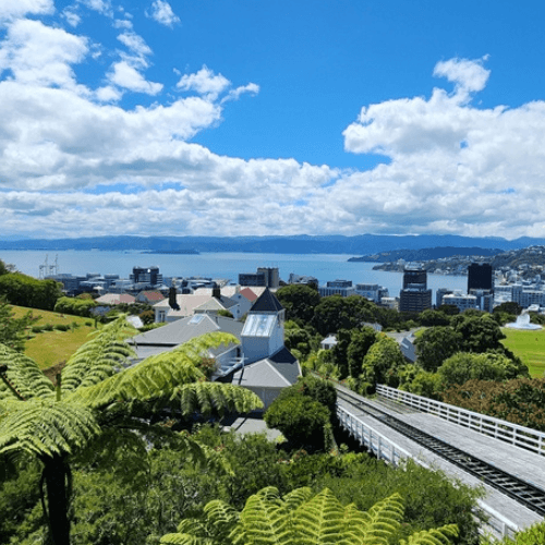 Wynn Williams — Legal Services in Auckland