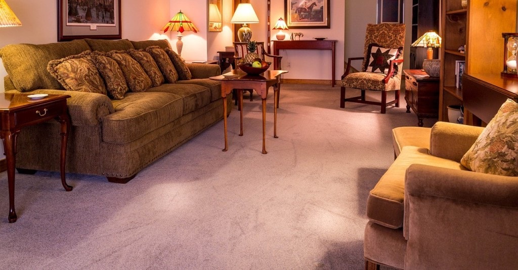 ABC Carpet Cleaning — Cleaning Services in Auckland