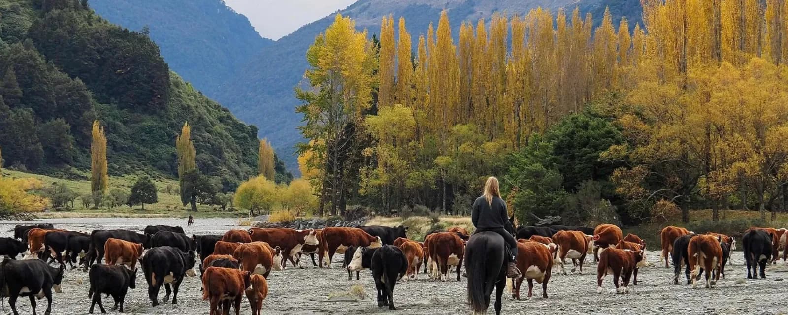MUSTER Photography — Photographers in Wanaka