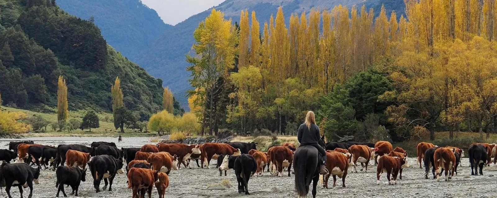 MUSTER Photography — Photographers in Wānaka
