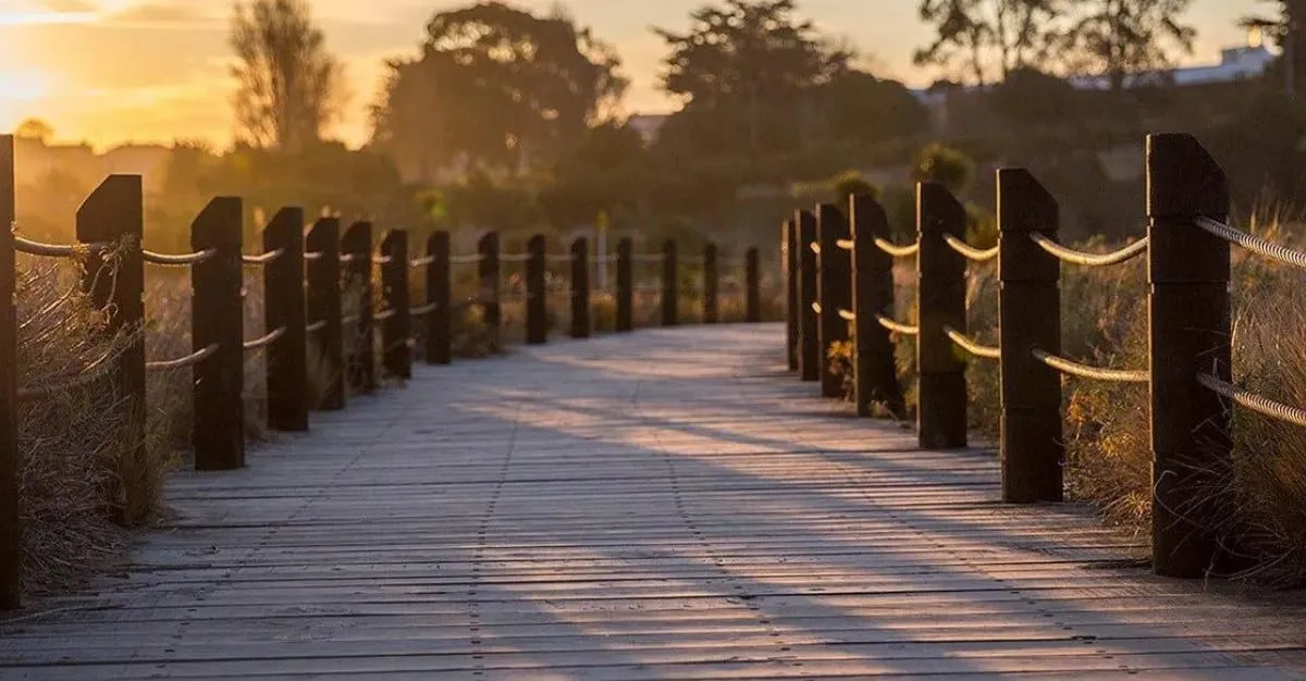 Ford Simpson — Accountants in Timaru