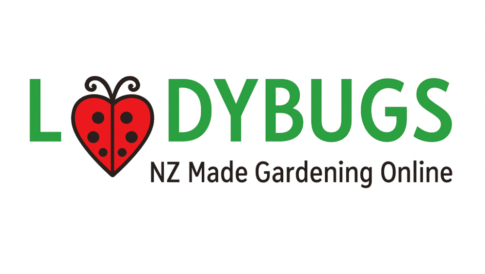 Ladybugs.co.nz — Furniture Stores in Whau