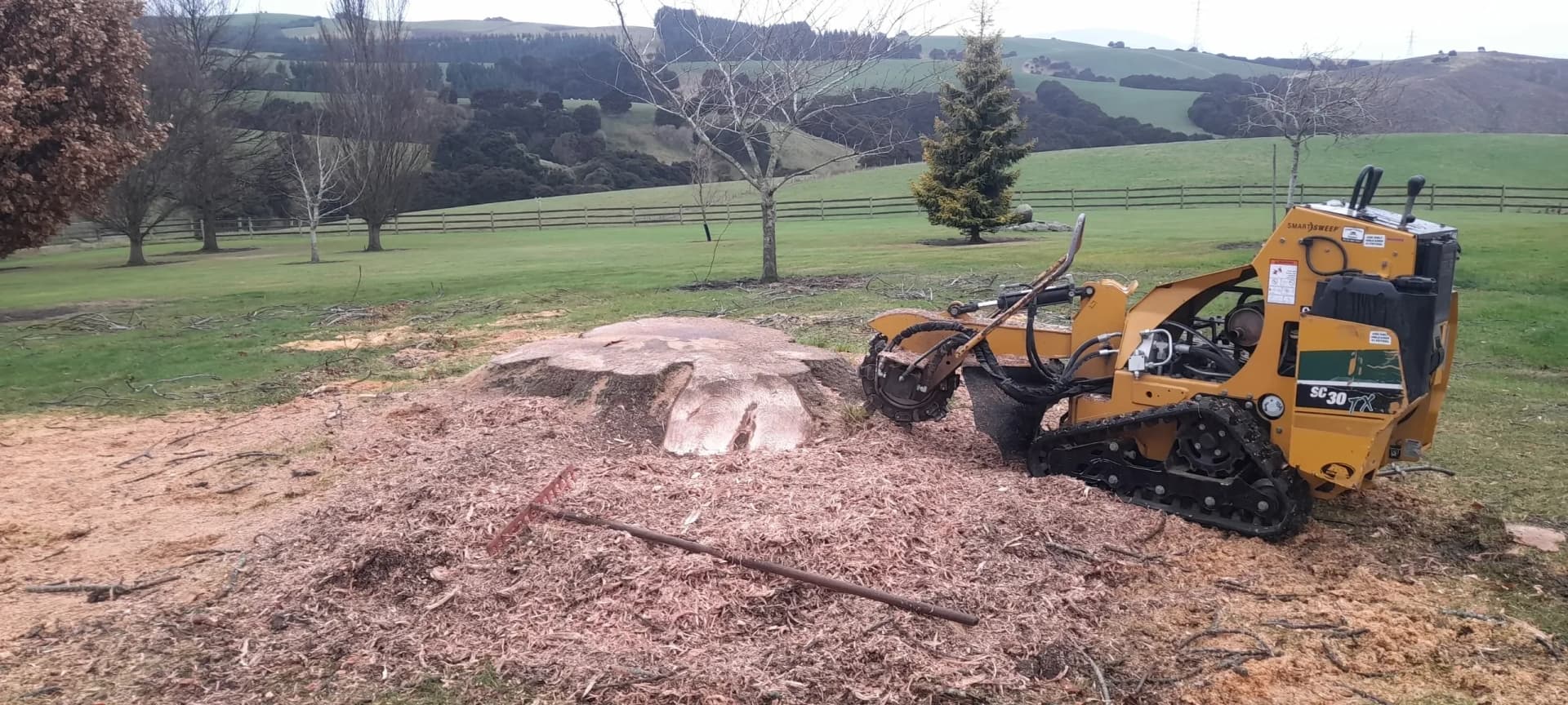 Taieri Stump and Tree — Arborists in Mosgiel