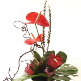 Flowers Auckland