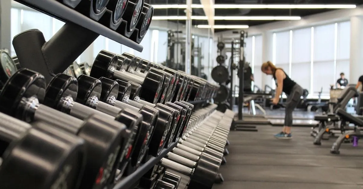 Busy Body — Gyms in Auckland
