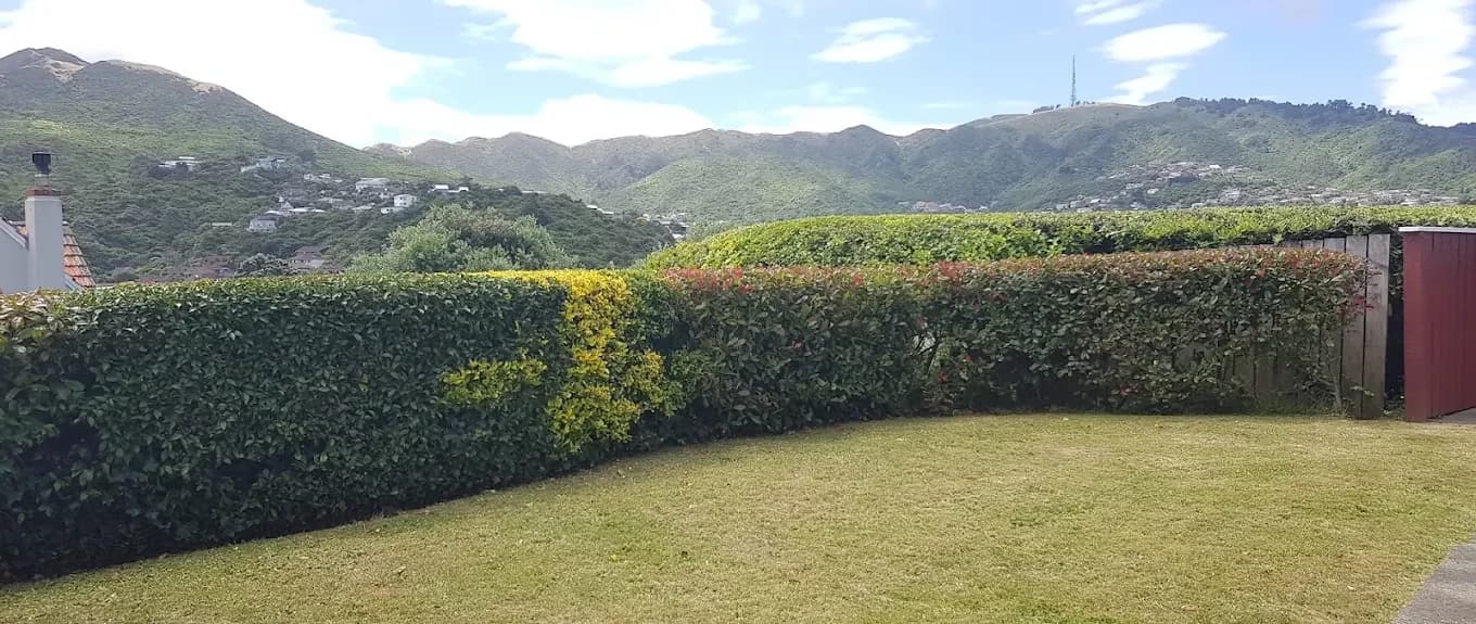 Wellington Mowing — Gardening Services in Johnsonville