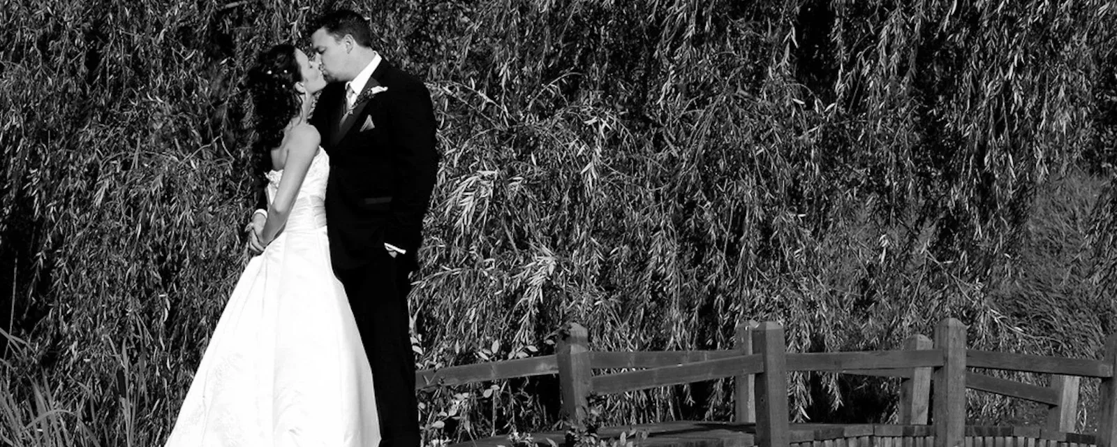 Solas Photography — Photographers in Dunedin