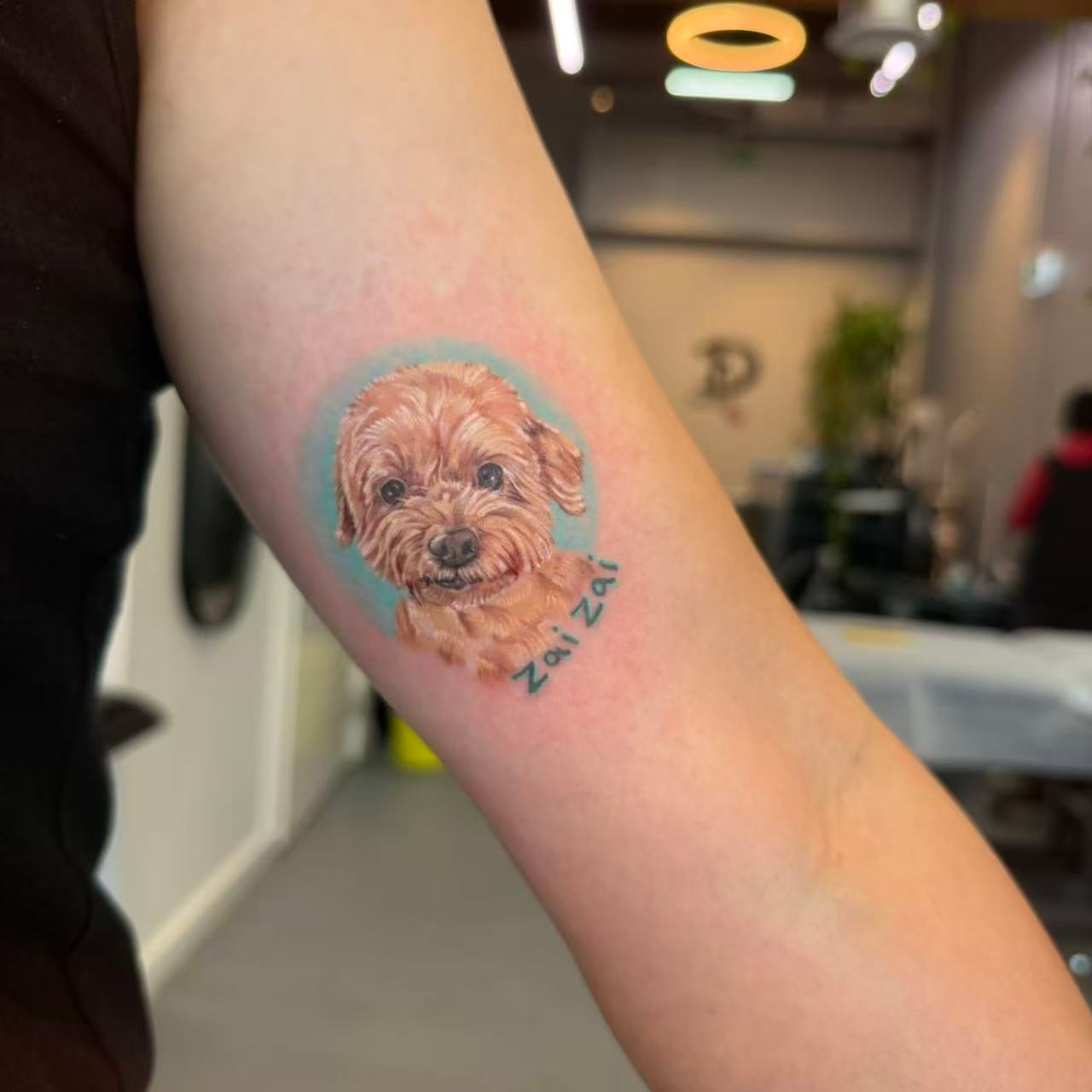 Dreamhands Tattoo Studio — Tattoo & Piercing Shops in Auckland