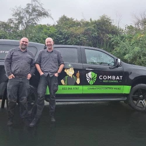 Combat Pest Control — Pest Control Services in Lower Hutt