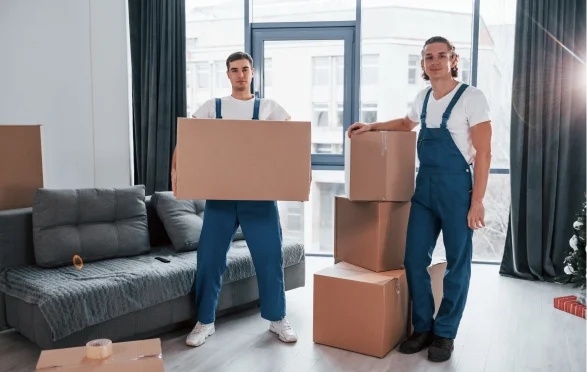 FFDG (Furniture and Freight Distribution Group) — Moving Companies in Whau
