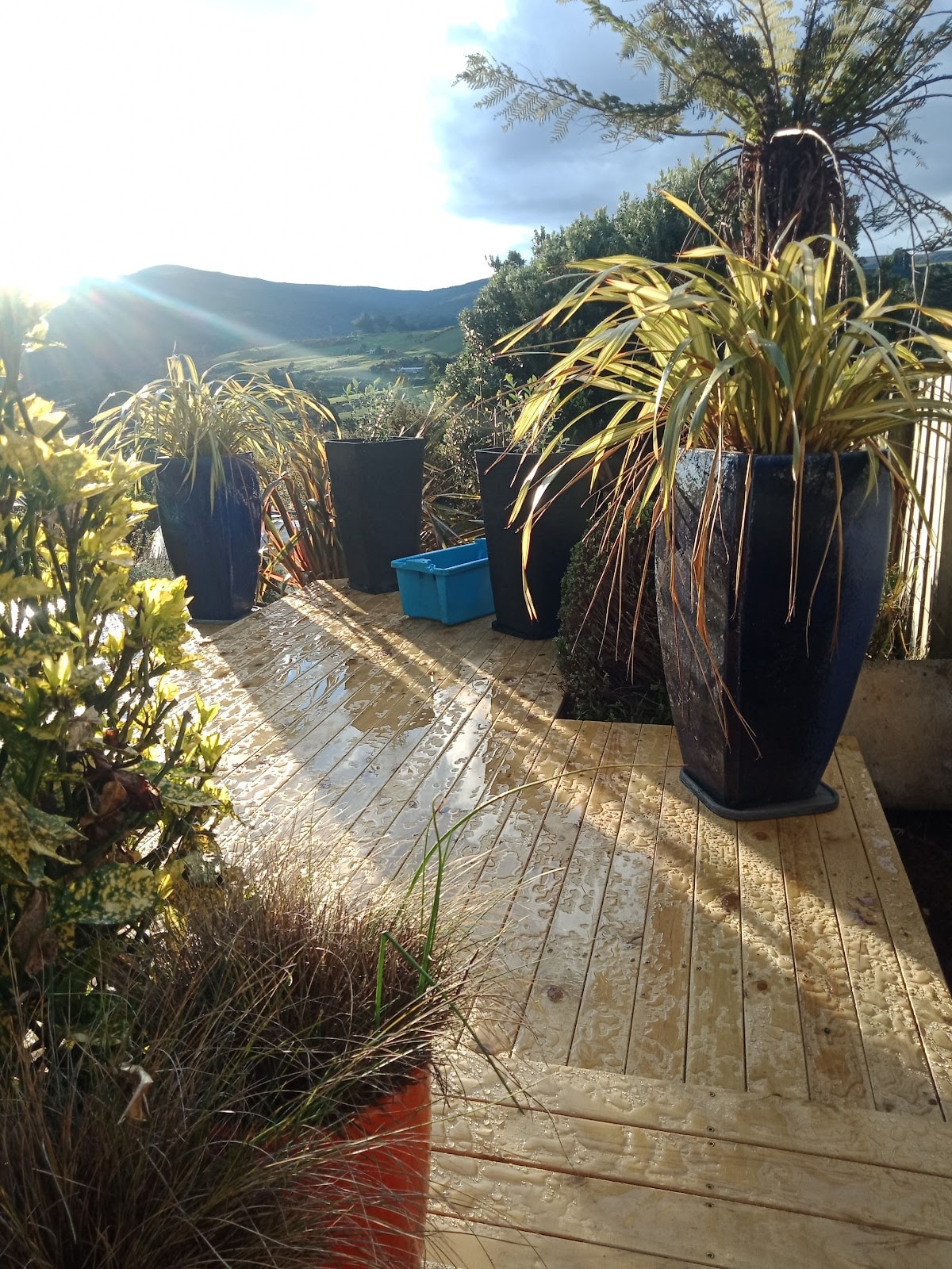 Hedge to Edge Ltd — Professional Services in Dunedin