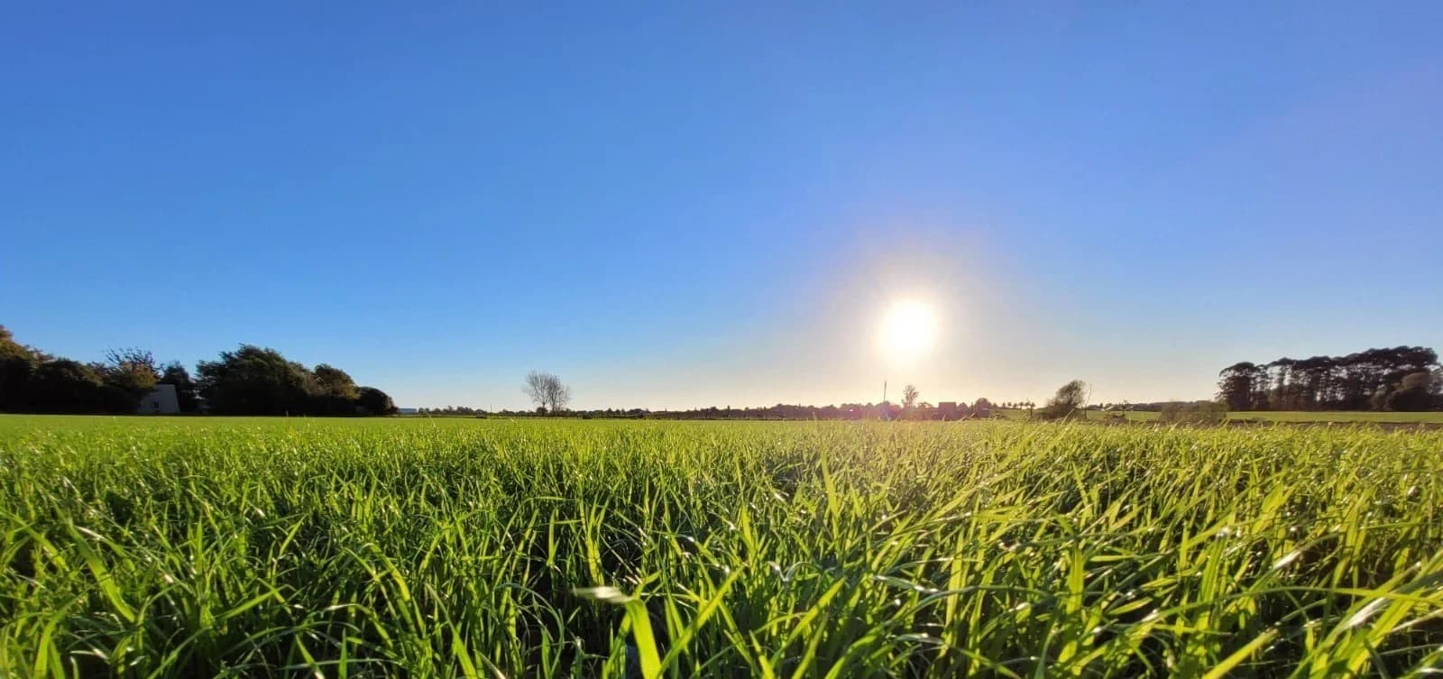 Vernado — Agricultural Services in Waikato