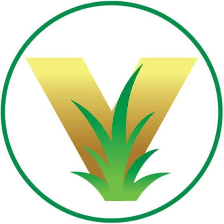 Vernado
