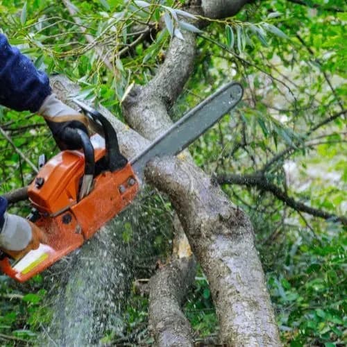 FORUDUNEDIN Lawn Mowing & Gardening — Gardening Services in Dunedin
