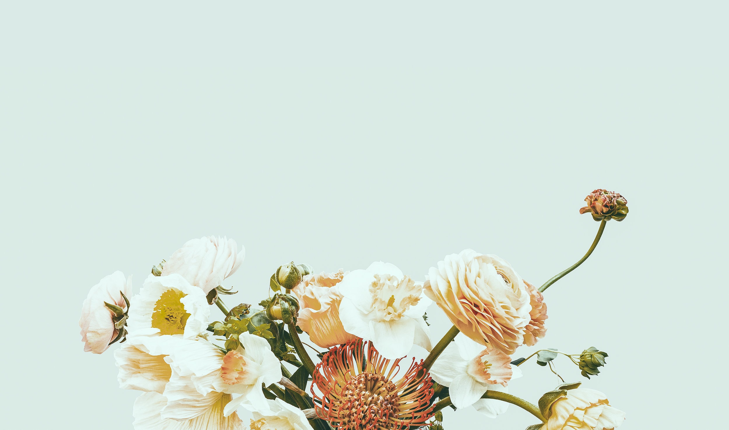 Resonate Beauty — Beauty Salons in Paraparaumu