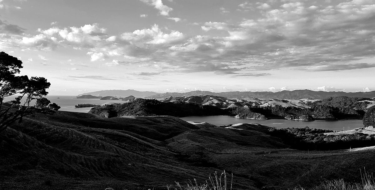 Koukou Creatives — Artists in New Zealand