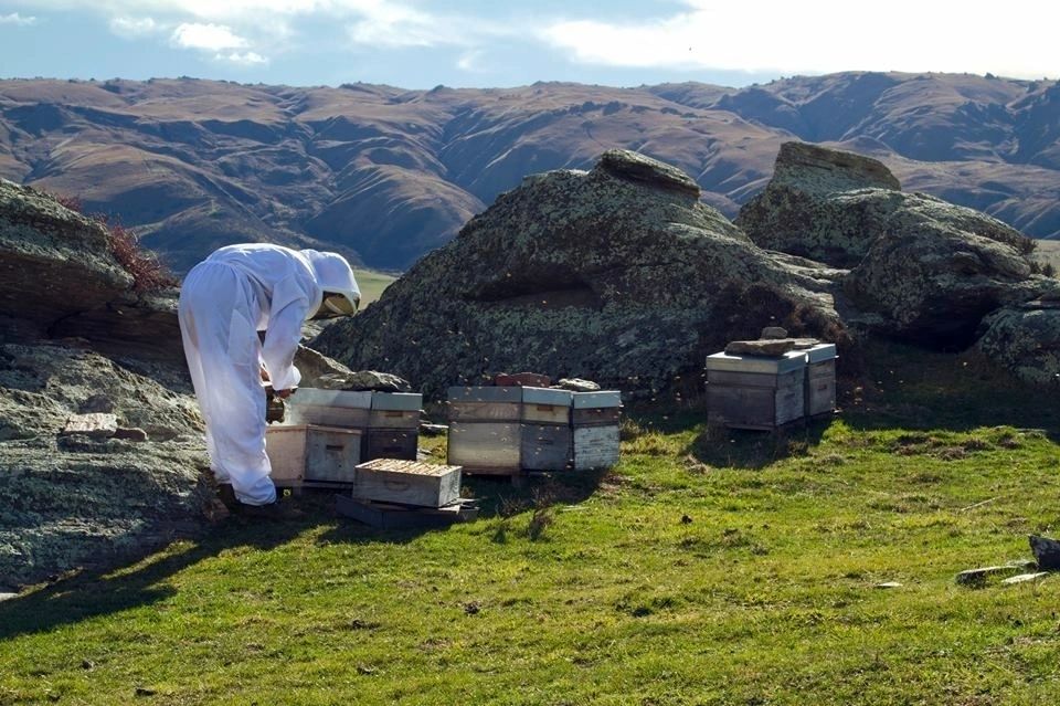The Honey Crate — Food & Beverage in Dunedin