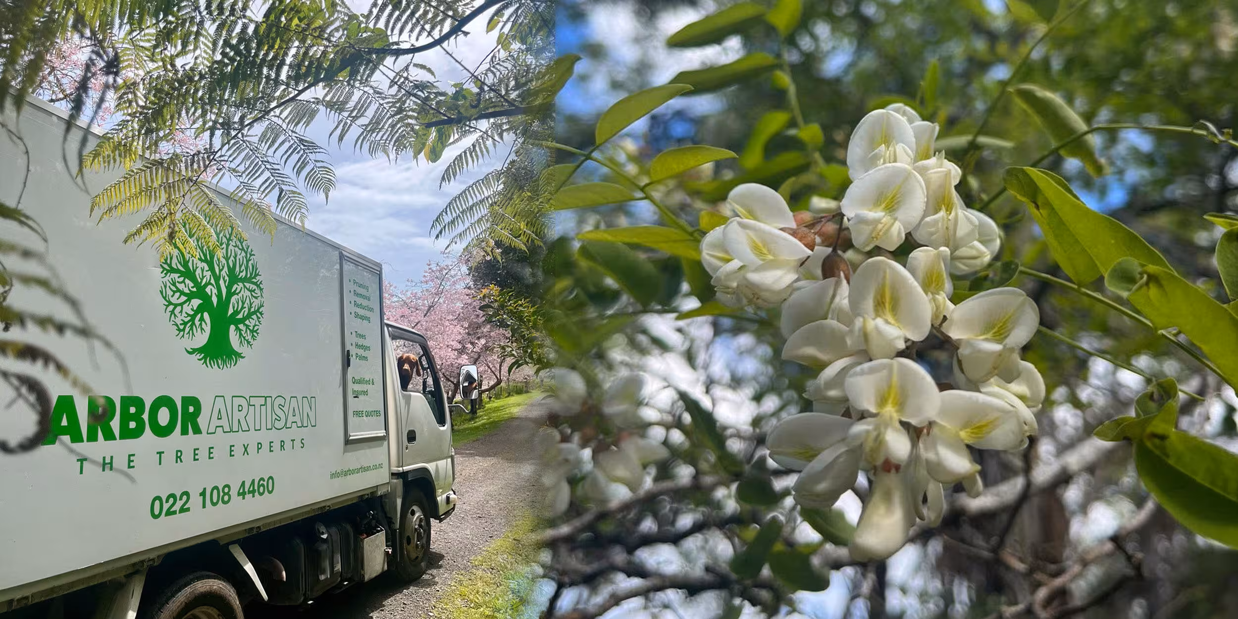 Arbor Artisan — Arborists in Tauranga