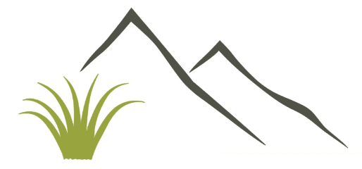 Tussock Peak Motor Lodge