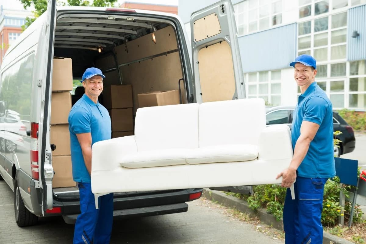 Hutt Mover — Property Maintenance Services in Upper Hutt