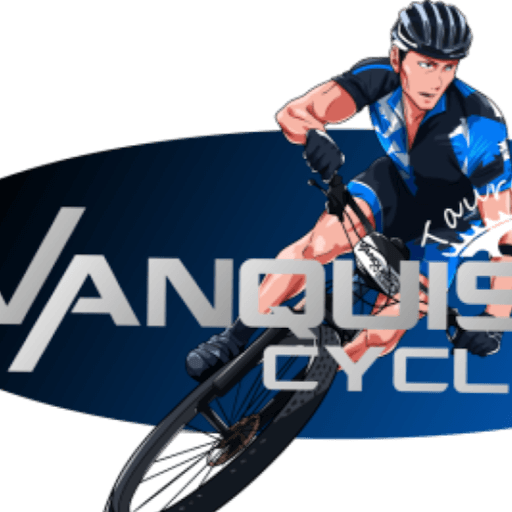 Vanquish Cycles
